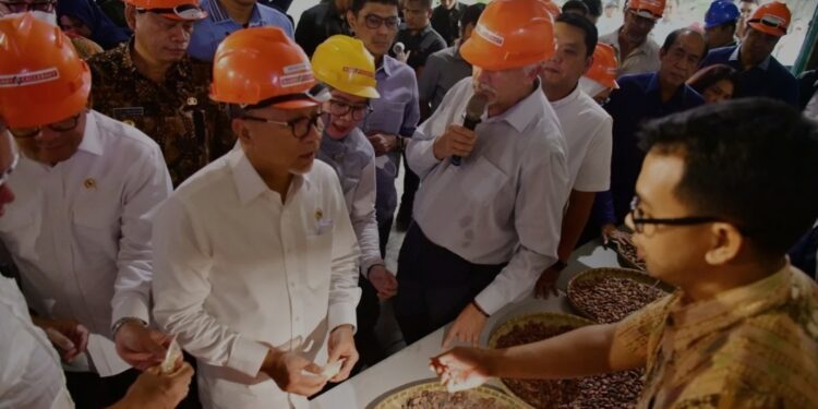 Menko Pangan Zulkifli Hasan melihat kualitas kakao yang dikumpulkan dari petani saat kunjungan kerja di Makassar, 16-17 Januari 2025. (MASAPNEWS/ANT/HO-Humas Pemprov Sulsel)
