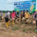 Panen Raya Jagung Tumpang Sari di Kabupaten Gunung Mas