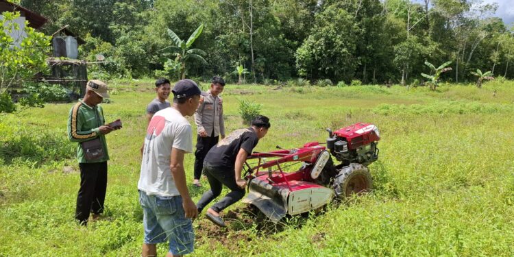 Polsek Kahayan Hulu Utara dan PPL bersinergi sulap lahan tidur jadi kebun jagung