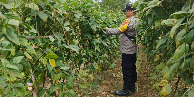 Polisi Penggerak Polsek Tewah Ajak Warga Dukung Ketahanan Pangan dari Rumah