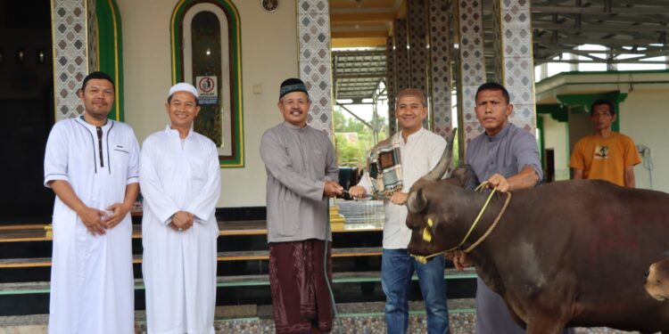 Kapolres Gunung Mas saat menyalurkan hewan kurban di Kuala Kurun, Jumat (6/6/2025). (IST)