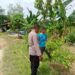 Dukung ketahanan pangan, Bhabinkamtibmas Polsek Kurun kunjungi kebun warga Teluk Nyatu