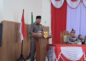 Juru bicara Badan Anggaran DPRD Gumas Endra. (MASAPNEWS/GCM)