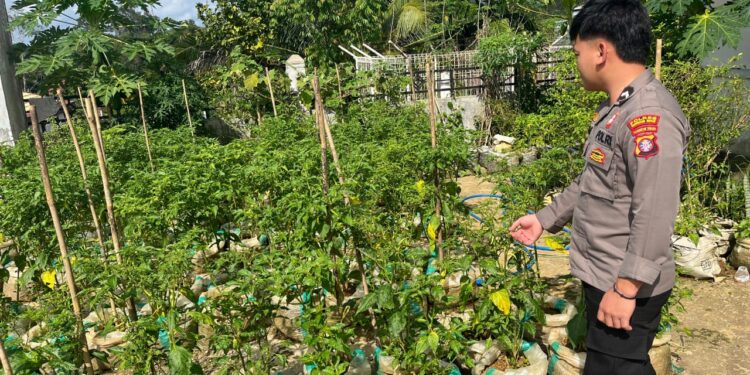 Polisi ajak warga Gumas ubah pekarangan jadi sumber gizi