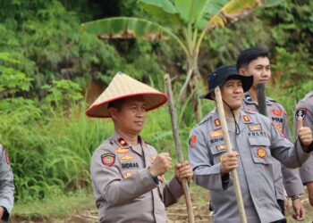 Kapolres Gumas dan PJU Turun Langsung Tanam Jagung Hibrida