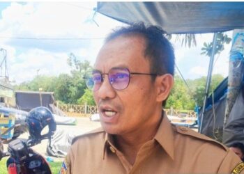 Plt Kepala DLHKP Gumas Supervisi Budi. (ist)