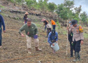 Polsek Kurun dan Poktan Saribumi Bersatu di Ladang, Tanam Jagung Demi Kedaulatan Pangan