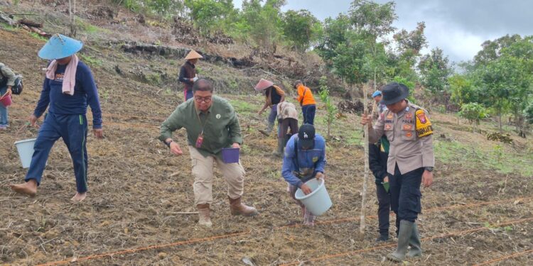 Polsek Kurun dan Poktan Saribumi Bersatu di Ladang, Tanam Jagung Demi Kedaulatan Pangan
