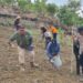 Polsek Kurun dan Poktan Saribumi Bersatu di Ladang, Tanam Jagung Demi Kedaulatan Pangan