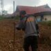 Ternyata Ini yang Tumbuh di Belakang Asrama Bujang Polres Gumas