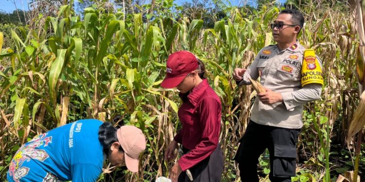Kapolsek Rungan Datangi Batu Puter, Ternyata Ini yang Sedang Terjadi