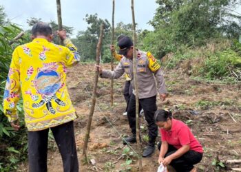 Polisi tiba-tiba datang ke Jalemu Masulan, ada apa gerangan?
