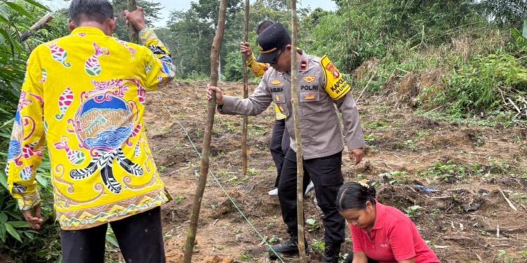 Polisi tiba-tiba datang ke Jalemu Masulan, ada apa gerangan?