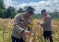 Polisi Datangi Lahan 1 Hektar BUMDes Tajah Antang Raya, Ada Apa Sebenarnya?