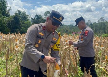 Polisi Datangi Lahan 1 Hektar BUMDes Tajah Antang Raya, Ada Apa Sebenarnya?