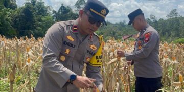 Polisi Datangi Lahan 1 Hektar BUMDes Tajah Antang Raya, Ada Apa Sebenarnya?