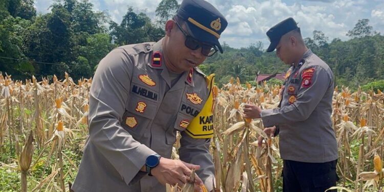 Polisi Datangi Lahan 1 Hektar BUMDes Tajah Antang Raya, Ada Apa Sebenarnya?