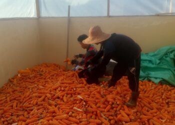 Bahu-membahu, Polisi dan Petani Wujudkan Hanpang dari Gumas