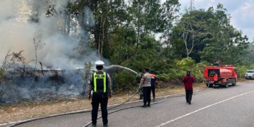 Polres Gumas dan Tim Gabungan Padamkan Karhutla di Batu Nyapau