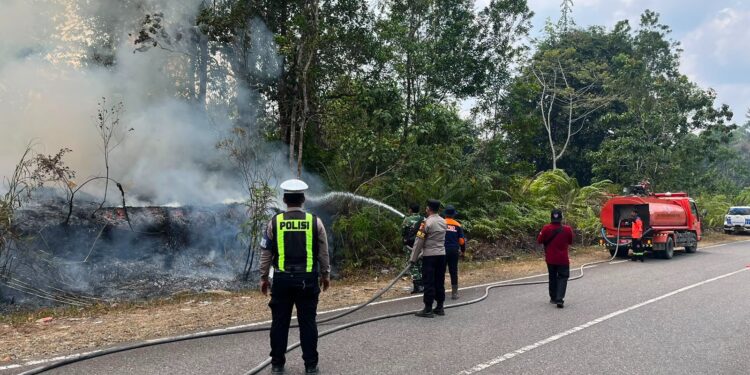 Polres Gumas dan Tim Gabungan Padamkan Karhutla di Batu Nyapau