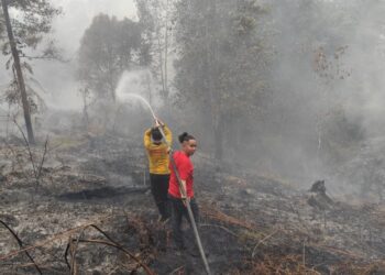 Karhutla di Kurun Berhasil Dipadamkan walau Terkendala Akses dan Air