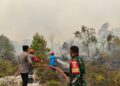 Tim Gabungan Padamkan Titik Api Karhutla di Luwuk Langkuas