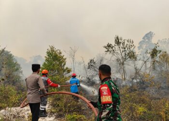 Tim Gabungan Padamkan Titik Api Karhutla di Luwuk Langkuas