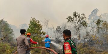 Tim Gabungan Padamkan Titik Api Karhutla di Luwuk Langkuas