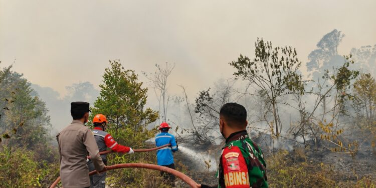 Tim Gabungan Padamkan Titik Api Karhutla di Luwuk Langkuas