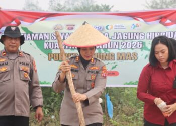 Polres Gunung Mas Tanam Jagung Hibrida di Lahan 1 Hektare