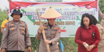 Polres Gunung Mas Tanam Jagung Hibrida di Lahan 1 Hektare