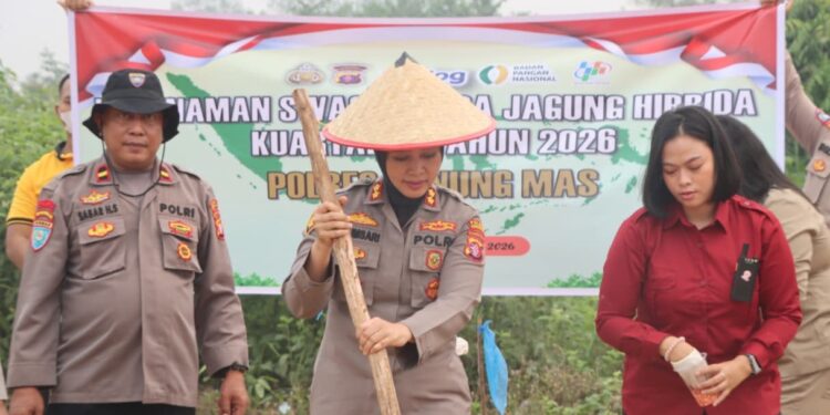 Polres Gunung Mas Tanam Jagung Hibrida di Lahan 1 Hektare